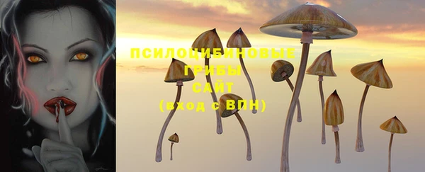 дживик Алексеевка
