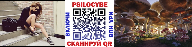 Псилоцибиновые грибы Psilocybe  сколько стоит  Николаевск 